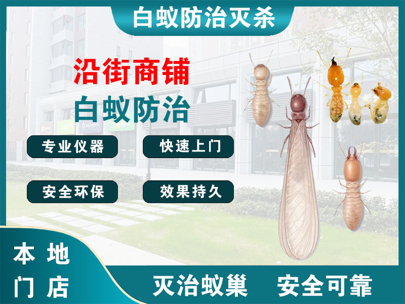 扬中沿街商铺白蚁防治