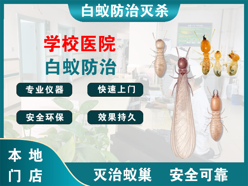 扬中学校医院白蚁防治