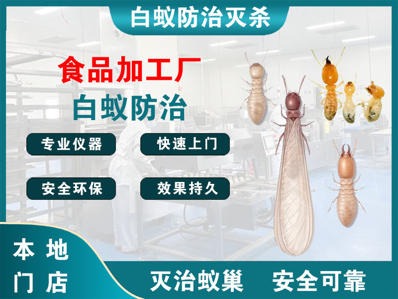 扬中食品加工厂白蚁防治