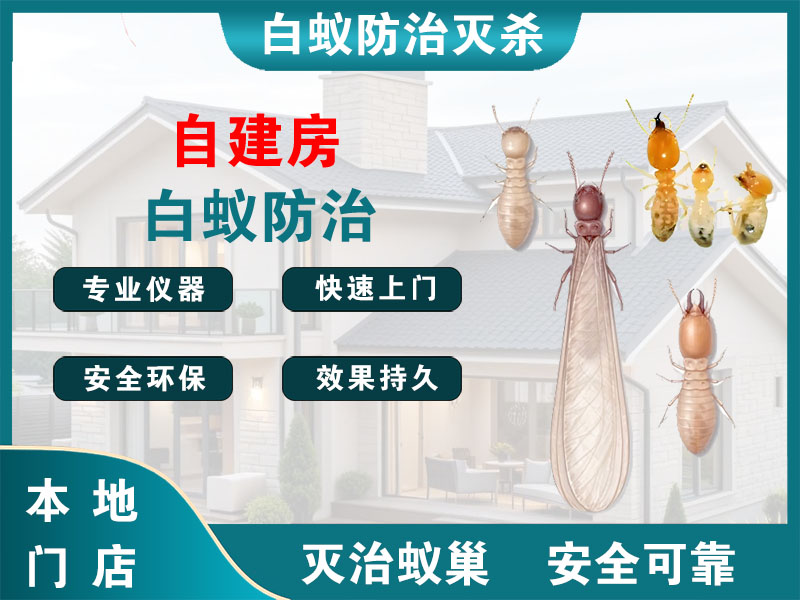 扬中自建房白蚁防治