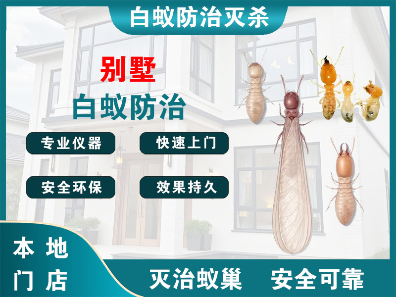 扬中别墅白蚁防治